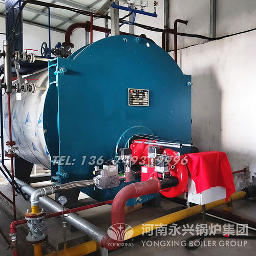 【釀酒食品化工-工業(yè)燃?xì)庹羝仩t_燃?xì)忮仩t廠家】-