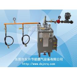 汽化器 東升節(jié)能燃?xì)庠O(shè)備 燃?xì)忮仩t廠配用汽化器 東升